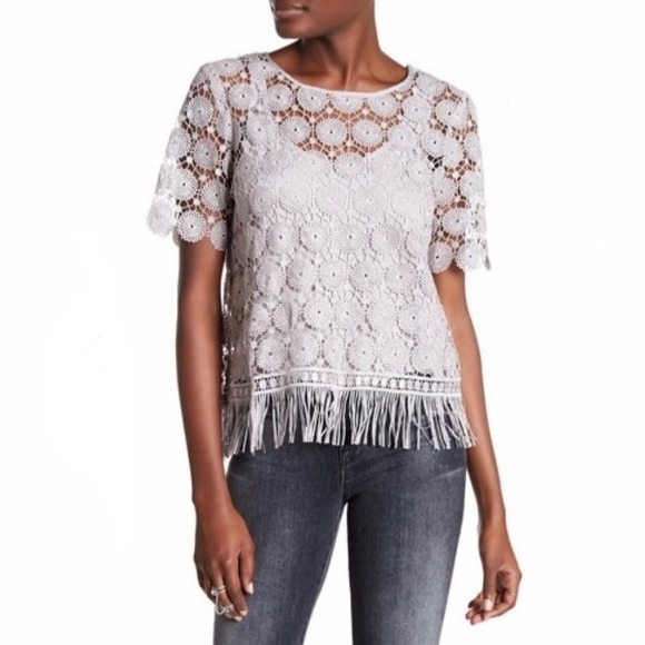 Ella Moss Gray Crochet Overlay Short Sleeve Blouse | Size Medium - Picture 2 of 8